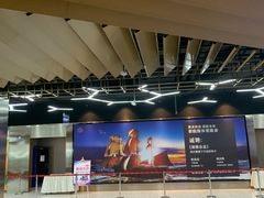 -太平洋影城(紫荆店)