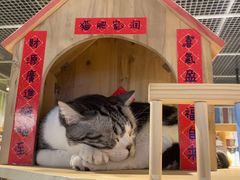 -小时光咖啡馆(开森度假森林店)