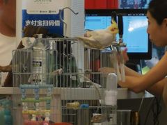 -捌贰虾蟹·江湖菜馆(江汉路店)