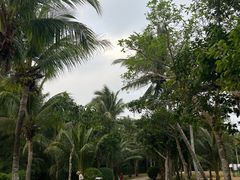 -三亚海棠湾万丽度假酒店