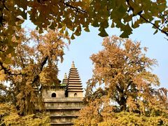 -北京石刻艺术博物馆(五塔寺)