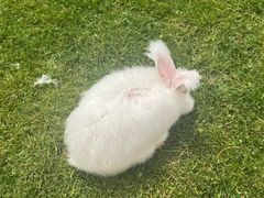 -鄂尔多斯野生动物园