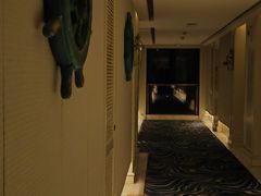 -长安先导国际创新人才交流中心
