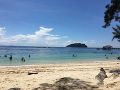 -东姑阿都拉曼海洋公园