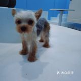 心都萌化了[可怜]
