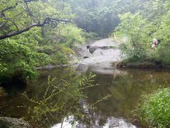 林间小溪-木兰云雾山