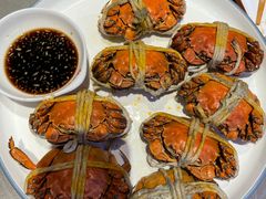 -杨氏青龙虾·羊蝎子(托乐嘉店)