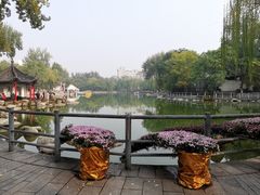-莲湖公园