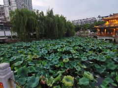 -孺子亭公园