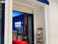 -澳洲袋鼠早教(南二环店)