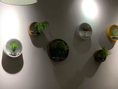 -梧州双钱龟苓膏(丽港航母店)