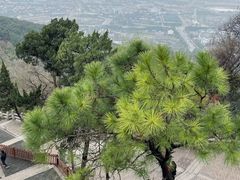 -灵岩山风景区
