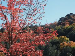 -香山公园