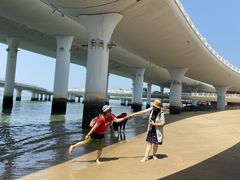 -演武大桥观景平台