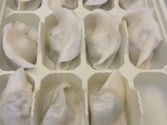 -东方饺子王(新阳路店)