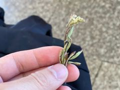 -龙头街回族餐厅(蒜村新区农大店)