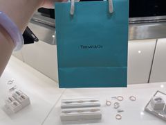 -澳门威尼斯人综合度假区