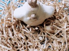 -馆陶手作坊DIY·陶艺·石塑粘土·石膏娃娃(车陂店)