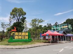 -天鹿湖森林公园