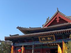 -大槐树寻根祭祖园