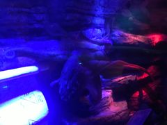 -沈阳海洋探索中心