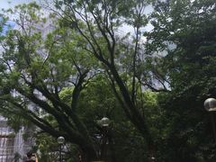 -香港大学
