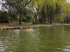 -新江湾城公园