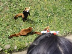 -西安秦岭野生动物园