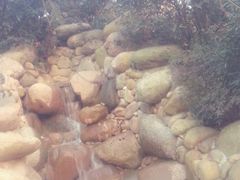 picture-南京汤山紫清湖生态旅游温泉度假区