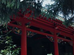 -哈尔滨极乐寺
