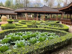 -青城山六善酒店·紫氣園中餐厅