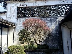 -绍兴鲁迅故里·沈园景区