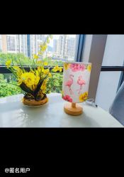 -宝生月子中心·独栋独院式(南山店)