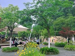 -合肥滨湖国家森林公园