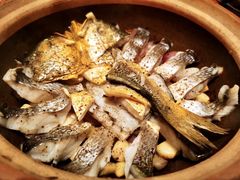 砂锅焗东海大黄鱼-人间采蜜(海信广场店)