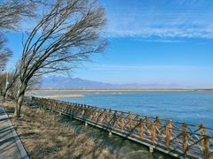 -野鸭湖国家湿地公园