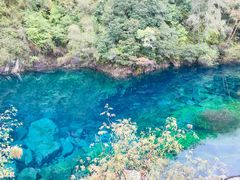-叠溪松坪沟景区