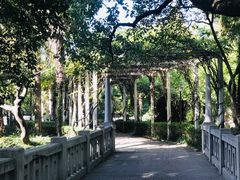 -叶家花园