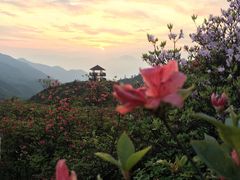 -大围山国家森林公园