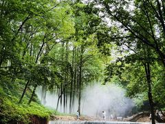 -洛阳白云山景区