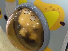 -天宠宠物医院24小时·急重症诊疗中心·全科·腔镜特色(和平分院)