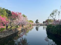 -无锡蠡湖国家湿地公园-蠡园
