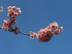 -苏州上方山国家森林公园