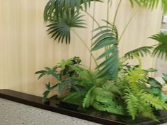 -大悦城(沈阳中街店)