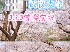-武汉大学-樱园