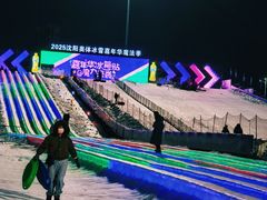 -沈阳奥体冰雪嘉年华