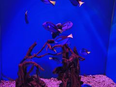 -海合安青岛极地海洋公园