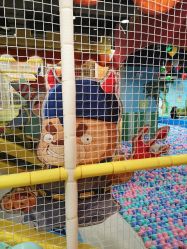 -万达宝贝王(长春红旗街店)