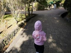 -汉拿树木园