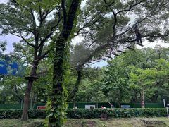 -WeLope紫金山探险公园